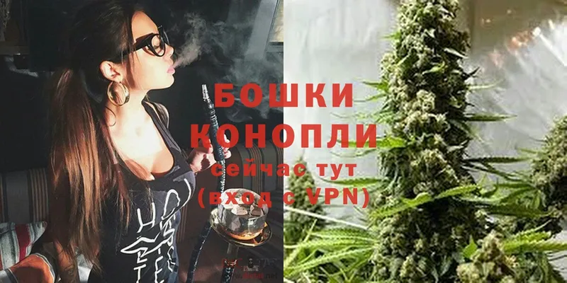 Каннабис White Widow  Мосальск 